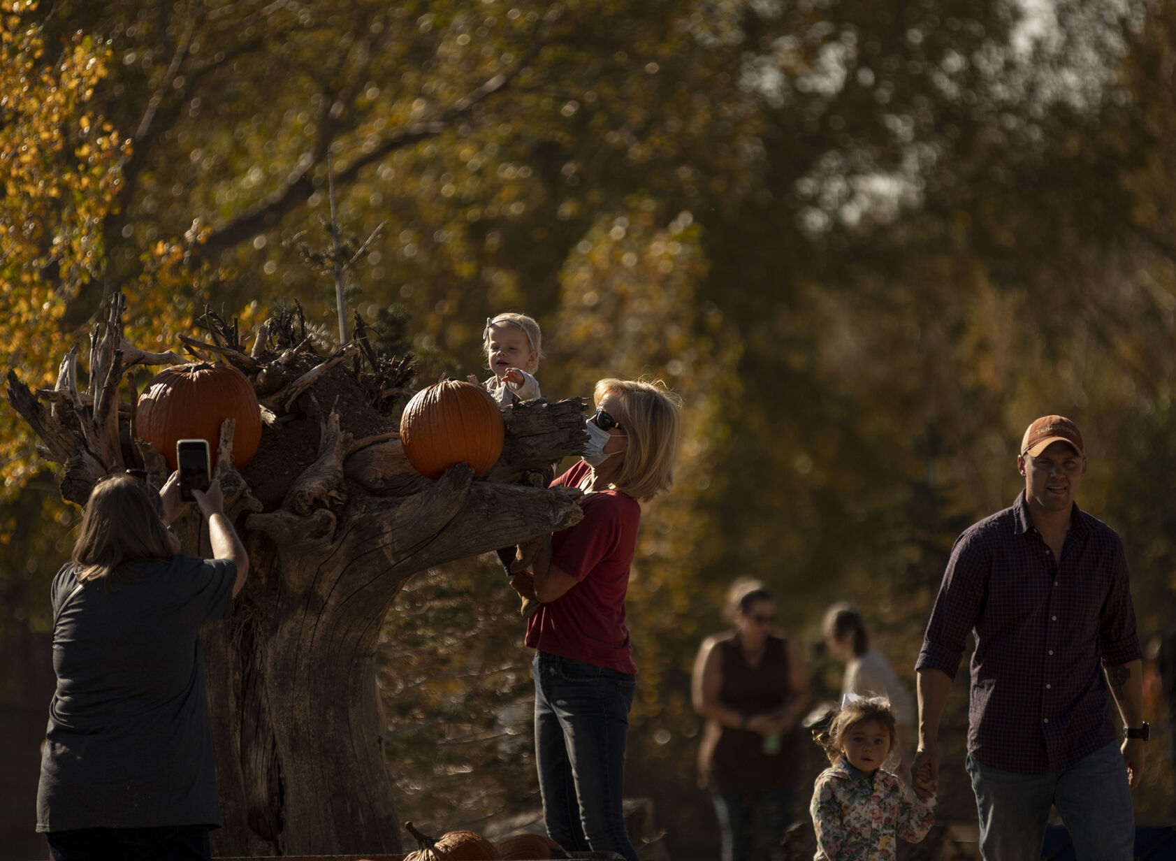 101120-news-pumpkins 04.jpg